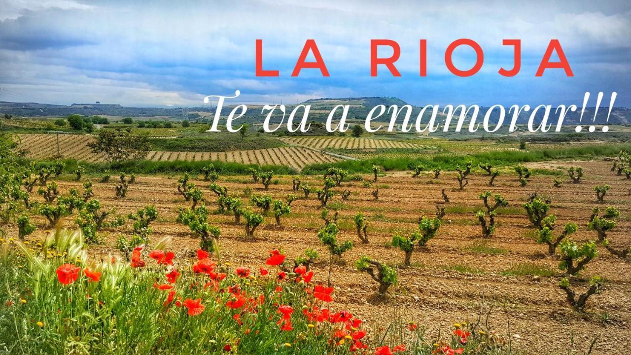 El Rincon Del Marques Centro Con Encanto By Apartamentos לוגרוניו מראה חיצוני תמונה