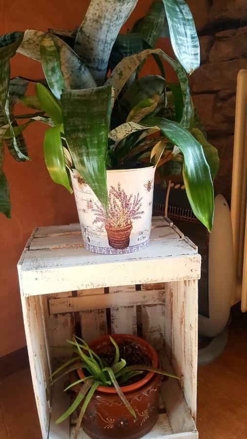 El Rincon Del Marques Centro Con Encanto By Apartamentos לוגרוניו מראה חיצוני תמונה